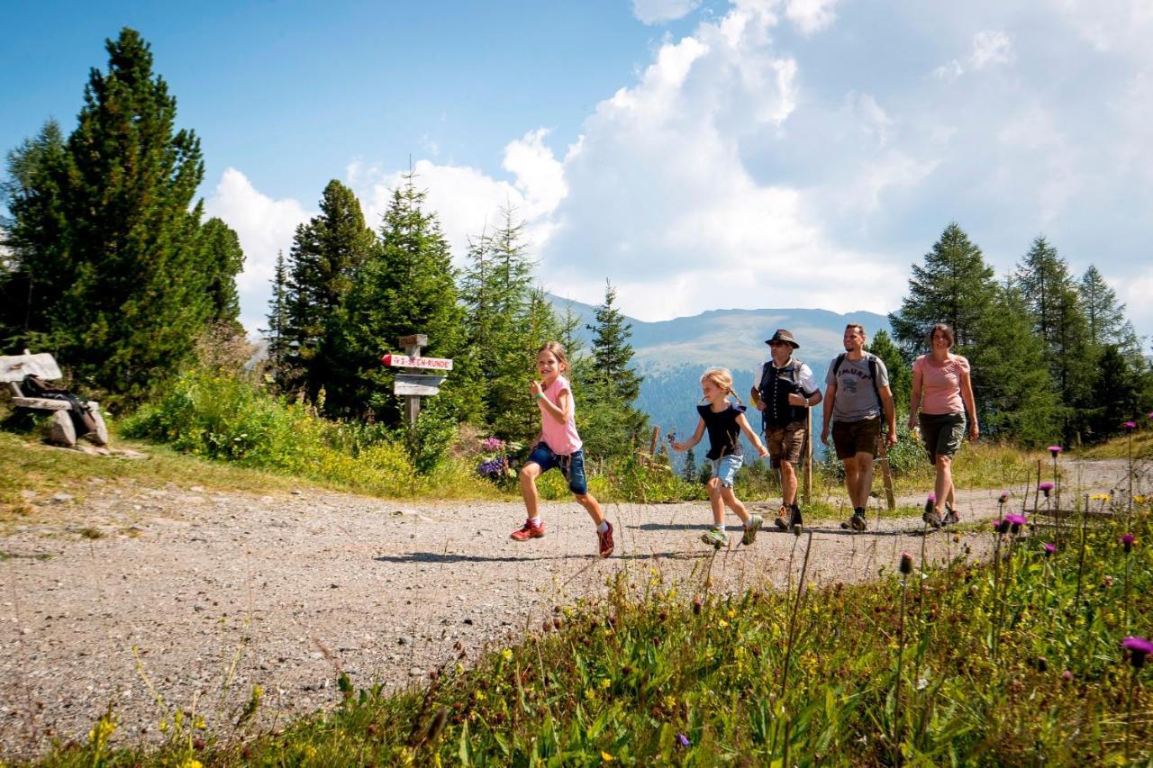 Naturpark Huette Mandl, Biobauernhof & Huettenurlaub Sankt Lambrecht Eksteriør billede