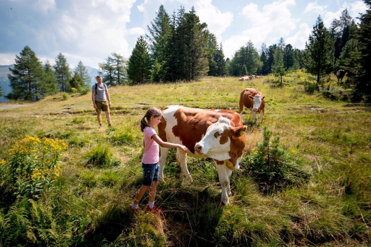 Naturpark Huette Mandl, Biobauernhof & Huettenurlaub Sankt Lambrecht Eksteriør billede
