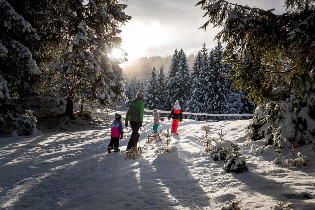 Naturpark Huette Mandl, Biobauernhof & Huettenurlaub Sankt Lambrecht Eksteriør billede