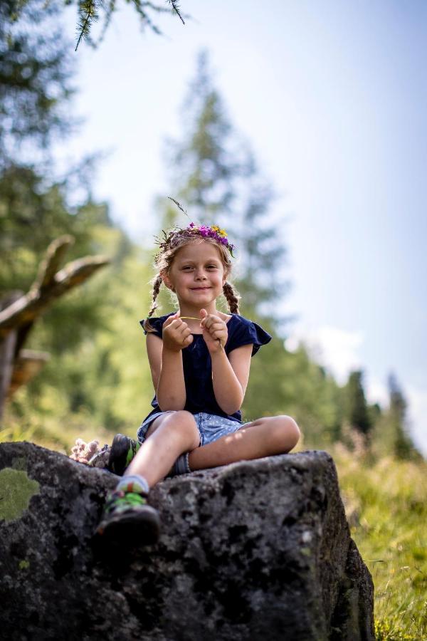 Naturpark Huette Mandl, Biobauernhof & Huettenurlaub Sankt Lambrecht Eksteriør billede